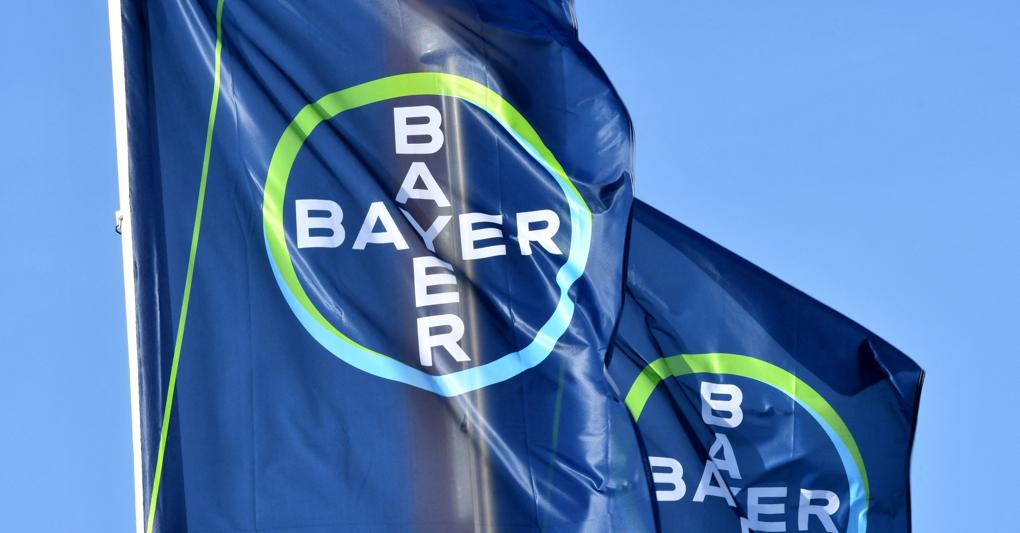 Bayer borsa clearance oggi